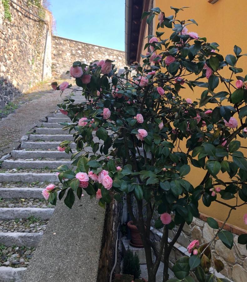 B&B Alle Scalette Trissino Kültér fotó